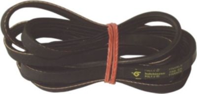 Courroie CURTISS courroie 1895j3