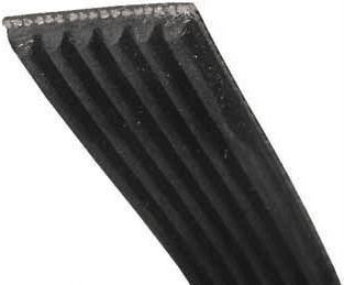 Courroie BRANDT COURROIE 1965 H8 POLY V - 51X5566