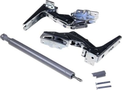 Charnières de porte LIEBHERR kit verin plus charnieres