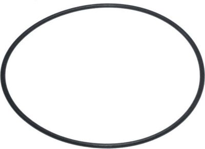 Pompe KARCHER BAQUE D ETANCHEITE 70X2-NBR70 POUR NETTO