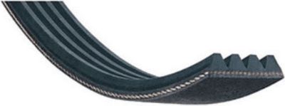 Courroie WHIRLPOOL COURROIE 1287H 8 EL 481281728277