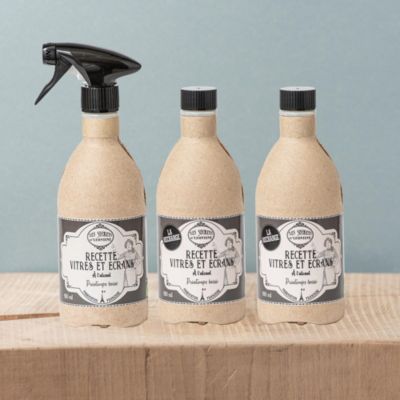 Nettoyant vitres LEONTINE vitres et écrans