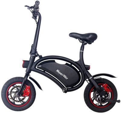 draisienne electrique