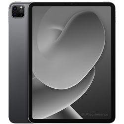 Tablette Apple Ipad iPad Pro 11 (2021) Wifi 128Go Premium Grade A