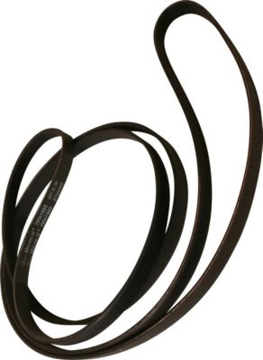 Courroie BELLAVITA 1950H7 80060123