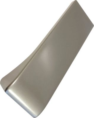 Poignée de porte THOMSON Cache poignée 12040756