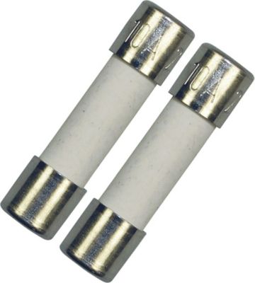 Pièce détachée BOSCH Lot de 2 fusibles électriques 10A 5x20mm