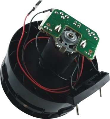 Charbon moteur ROWENTA Complet 25.2v RS-RH5460