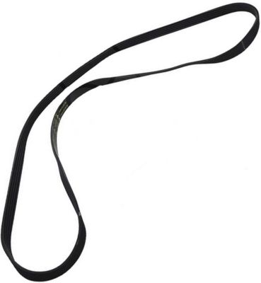 Courroie WHIRLPOOL 1248 J5 481935818152