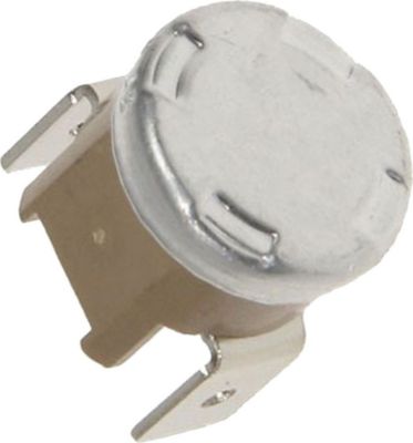 Thermostat DELONGHI 185° 5228109200