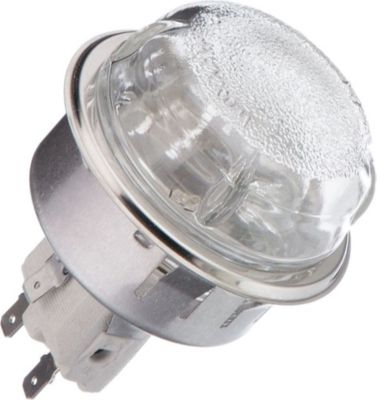 Ampoule BOSCH Lampe complète d'origine 00420775