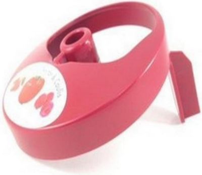 Pièce détachée MAGIMIX Outil pressoir 100700S