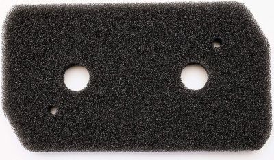 Filtre BOSCH éponge 12007650