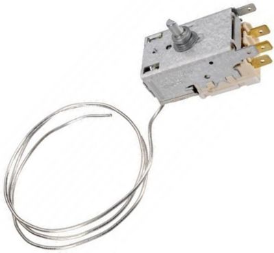 Thermostat LADEN 481010615118, 818731730