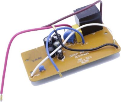 Module CALOR Module électronique FS-9100026099