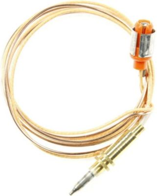 Thermocouple BOSCH Thermocouple d'origine 12012623 Thermocouple BOSCH Thermocouple d'origine 12012623