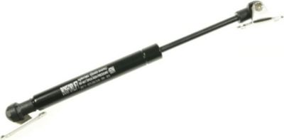 Pièce détachée BEKO Verin façade hotte 9197060213