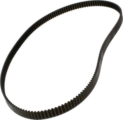 Courroie RIVIERA ET BAR 500589701