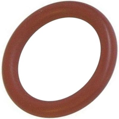 Joint POLTI Joint torique d'origine TP001069, CS-000