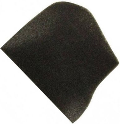 Filtre ROWENTA moteur RS-RS8864