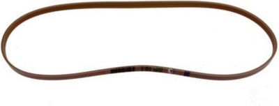 Courroie ELECTROLUX 1200J6 1200J5 1240210102