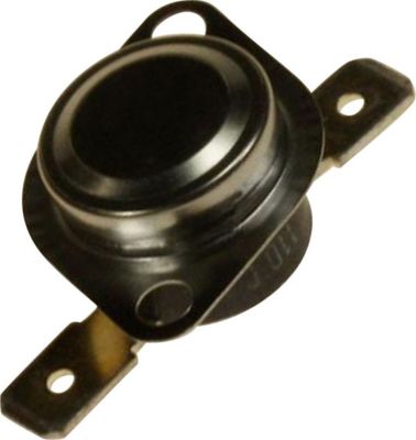 Thermostat BOSCH de securite d'origine 00618839