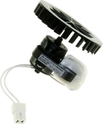 Moteur HOTPOINT de ventilateur C00252829, C09R1952