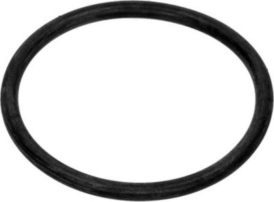 Joint BOSCH Joint torique pot à sel d'origine 006119