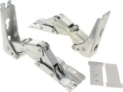 Charnières de porte AEG Kit charniere 4055504197, 9593760 Charnières de porte AEG Kit charniere 4055504197, 9593760