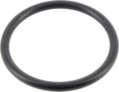 Joint KRUPS Joint de piston de chaudière ms-0698568