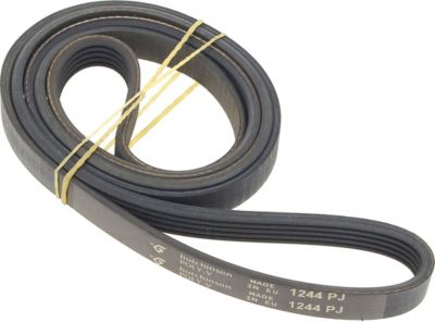 Courroie BEKO Courroie 1244j5, c00378048, 481935810047