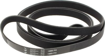 Courroie BAUKNECHT Courroie 1985h9