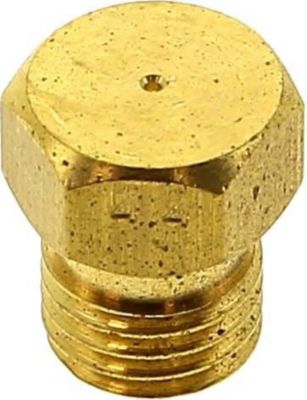 Injecteur ARISTON Injecteur 0.44 butane propane C00033836