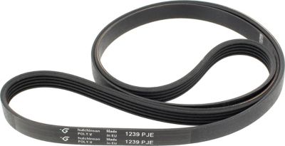 Courroie WHIRLPOOL Courroie 1238j4 = 1239j5 481235818215