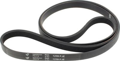 Courroie WHIRLPOOL Courroie 1238j4 = 1239j5 481235818215 Courroie WHIRLPOOL Courroie 1238j4 = 1239j5 481235818215