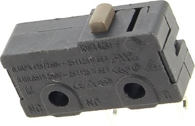Interrupteur CALOR Microswitch 2 plots vapeur cs-00129943