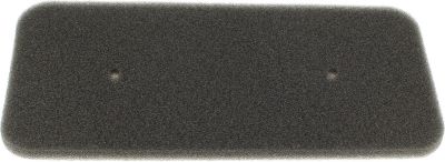 Filtre CANDY Filtre eponge 40006731