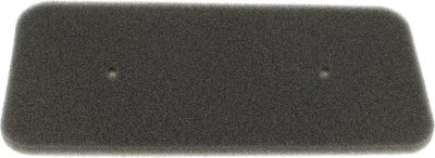 Filtre CANDY Filtre eponge 40006731