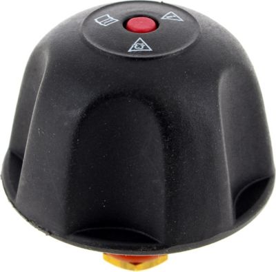 Bouchon POLTI Bouchon centrale vapeur POM0005563