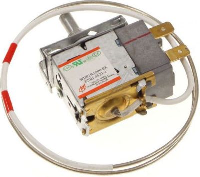 Thermostat PROLINE Thermostat wdf25u-990-ex