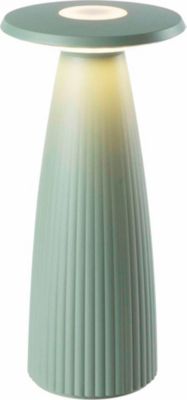 Lampe de table LUMISKY FLORA MINI