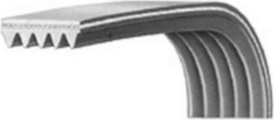 Courroie ESSENTIELB 1005577SC073