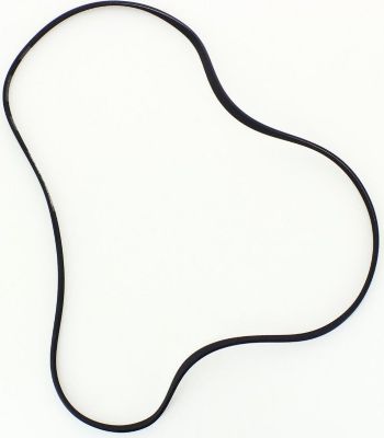 Courroie ESSENTIELB 1002187SC073 Courroie ESSENTIELB 1002187SC073