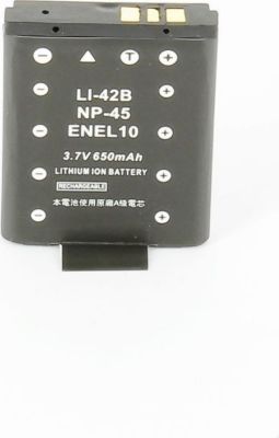 Batterie ESSENTIELB 1008241SC001