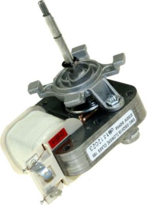 Ventilateur SAMSUNG Ventilateur chaleur tournante d'origine