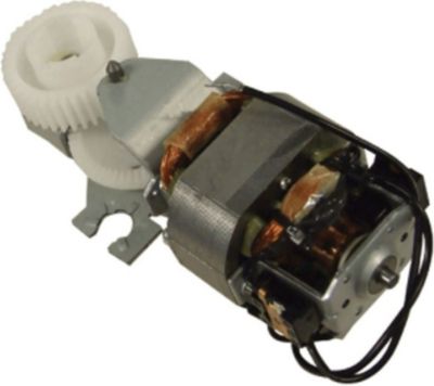 Moteur PHILIPS 420306563100