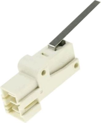 Micro BEKO Microrupteur 2954700400