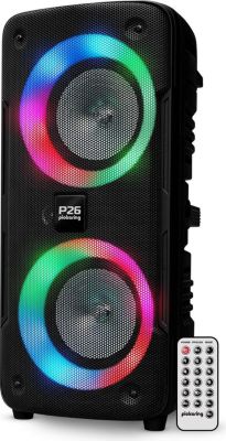 Enceinte nomade PICKERING Enceinte Sonorisation Autonome sur batte