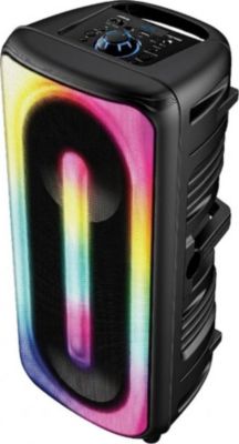 Enceinte nomade LEDWOOD Bluetooth 5.0 300W TWS LED Micro USB Mic