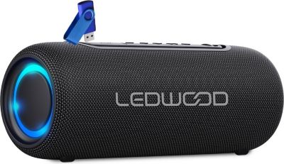 Enceinte nomade LEDWOOD Enceinte Hifi Autonome 100W Ledwood XS10